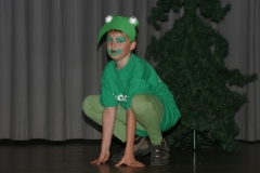 2009 Der Froschkönig