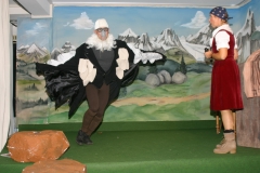 2009 Die Geierwally