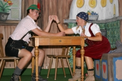 2009 Die Geierwally