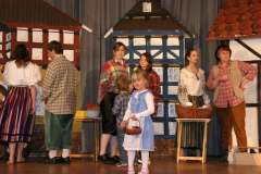 2010 König Drosselbart