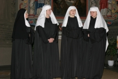 2010 Wie Rosen im  Schnee