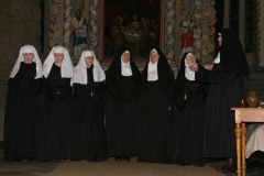 2010 Wie Rosen im  Schnee